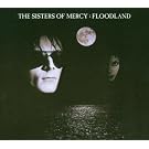 Floodland