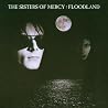 Image of album by The Sisters of Mercy