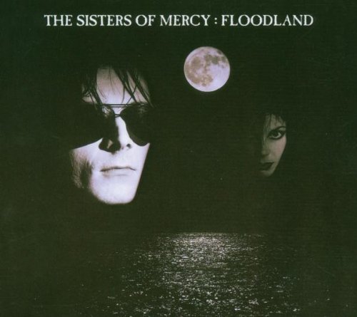 Produkt-Bild: Floodland