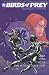 Birds of Prey Catwoman Oracle (2 of 2)