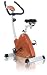 Omega CO-BD7 Triangular Magnetic Upright Indoor Exercise Bike (Copper Orange)
