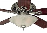 Hunter 28302 12 Bowl Light 120watt - Sculpted Swirled Marble