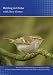 Birding in China (PC)