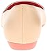Nine West Women's Histericks Ballet Flat