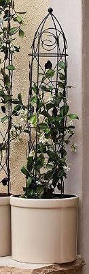 Black Leaves Dome Trellis - Medium