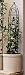 Black Leaves Dome Trellis - Medium