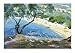 Achladies Bay, Skiathos, Greece by Anne Durham - 19 3/4 x 27 1/2 inches - Fine Art Print / Poster