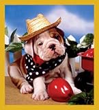 1st Day of School - Bull Dog Bookmark