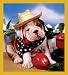   - 1st Day of School - Bull Dog Bookmark