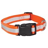 10 INCH - ORANGE - Reflective Stripe Safety Dog Collar