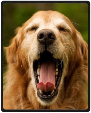 Wenglee Custom Fashionable Howl's Moving Castle Waterproof Fabric Bathroom Shower Curtain 66" x 72",about 167cm x 183cm