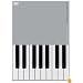 PLAYING THE PIANO/05 [DVD]