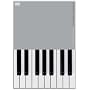 PLAYING THE PIANO/05 [DVD]