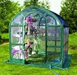 Clear Portable Greenhouse Dome - Springhouse FHSP300CL
