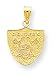 14k NFL Oakland Raiders Charm