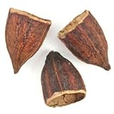 Naturosphère - Décoration naturelle - Coupes réalisées dans une fève de cacao - Lot de 3
