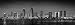 San Diego Skyline COLOR or BLACK & WHITE 12 inches x 36 inches Photographic Panorama Poster Print Photo Picture Standard Frame Size