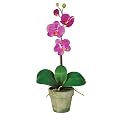 Potted Phalaenopsis Silk Orchid Arrangement