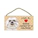 maltese8  - Maltese puppy cut short hair cut Love is
