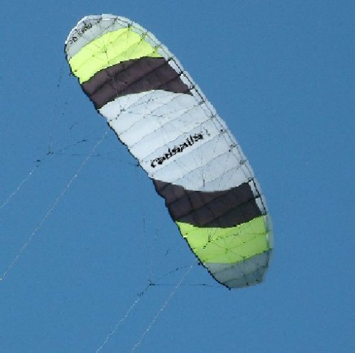 Childrens Toyshop  Toys : Radsail Pro III 5m Powerkite Package
