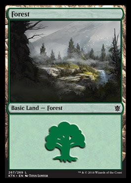 Magic: the Gathering - Forest (267/269) - Khans of Tarkir - Foil