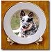 Dogs Australian Cattle - Australian Cattle Dog - Plates