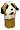 St. Bernard