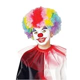 Multi-Colored Rainbow Clown Wig