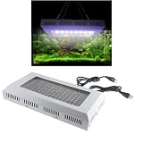 LED Aquarium
