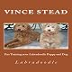 Fun Training Your Labradoodle Puppy and Dog