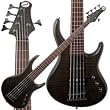 Limited Edition Kingston Heir 5-String Bass
