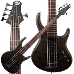 Limited Edition Kingston Heir 5-String Bass