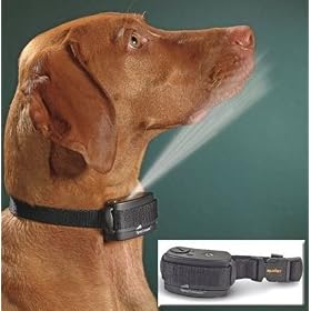 Citronella Refill ORM-D. Must Ship Ground.