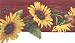Burgundy Sunflower Wallpaper Border