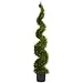 5' Cypress Spiral Tree