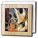 Florene Digital Contemporary - Blaze Of Orange - Tile Napkin Holders