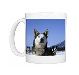 dog-siberian husky Photo Mugs