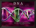 DNA Framed Art Poster Print, 26x20