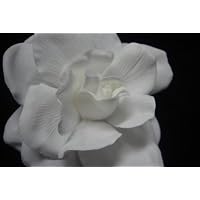 NEW Bright White Velvet Gardenia Hair Clip and Pin Back, Limited.