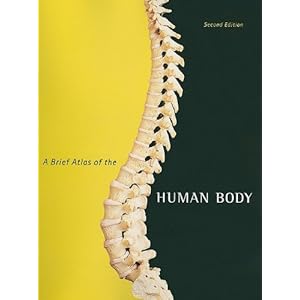 A Brief Atlas of the Human Body for Human Anatomy