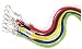 Champion Sports Heavy Duty Nylon Lanyard - Bulk Pack of 12