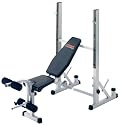 York B540 Heavy Duty 2 in 1 Bench & Squat Stand