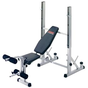 York B540 Heavy Duty 2 in 1 Bench & Squat Stand