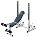 York B540 Heavy Duty 2 in 1 Bench & Squat Stand
