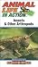 Animal Life for Children : INSECTS AND OTHER ARTHROPODS (Grades 5-8)