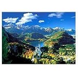 Neuschwanstein and Surroundings Puzzle - 5000 Piece