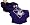 Northwestern Wildcats