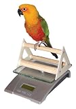Digital Bird Scale