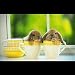 From the Makers of Bunny in a Cup