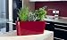 Windowsill Self-Watering Planter - Scarlet